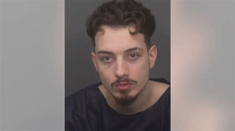 Robert Paljusevic: Insights and Achievements of a Leading Innovator