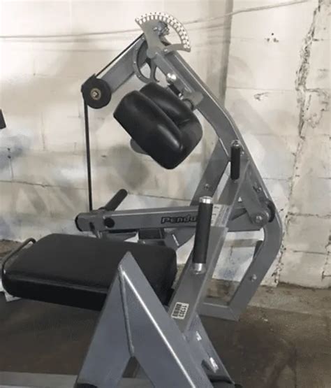 Rogers Athletic Pendulum 5 Way Neck Pro Gym