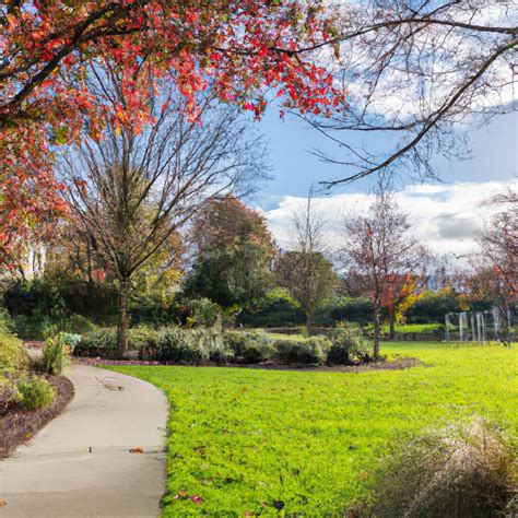 Rose City Park Northeast Portland Everything You Need To Know