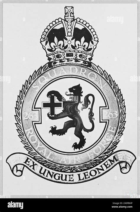 Royal Air Force Squadron Wappen Dieses Bild Ist Eines Einer Serie Royal Air Force Squadron Wappen Dieses Bild Ist Eines Einer Serie