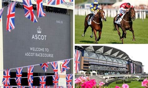 Royal Ascot Results All The Winners And Places On Day Two At Ascot Racing Sport Express Co Uk