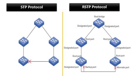 Rstp And Stp Protocols Baeldung On Computer Science