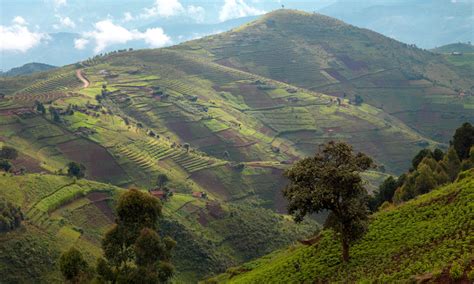Rwanda The Land Of A Thousand Hills An Honest Review Why Rwanda The Land Of A Thousand Hills An Honest Review Why