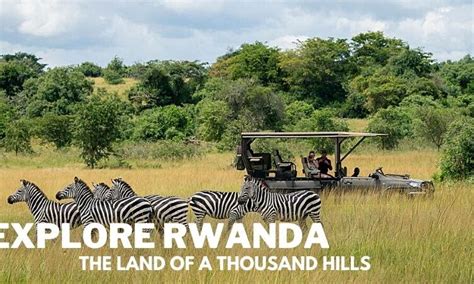 Rwanda Wildlife Safaris Land Of A Thousand Hills Rwanda Wildlife Safaris Land Of A Thousand Hills