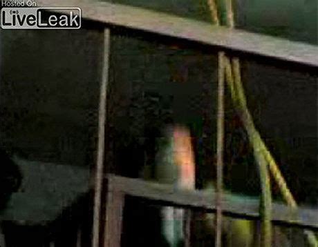 Saddam Hussein Being Hanged Shot On Editorial Stock Photo Stock Image Shutterstock Editorial Saddam Hussein Being Hanged Shot On Editorial Stock Photo Stock Image Shutterstock Editorial