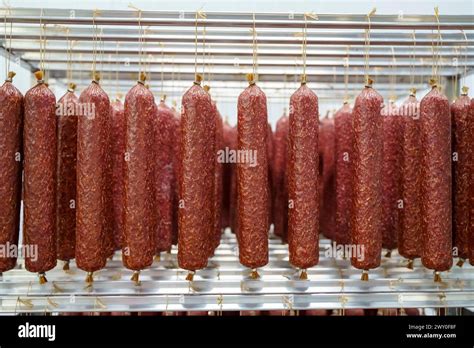 Salami Sausage Production At A Meat Factory Pork And Beef Sausage Salami Sausage Production At A Meat Factory Pork And Beef Sausage