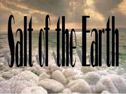 Salt Of The Earth Bible Reading Guide Chronological