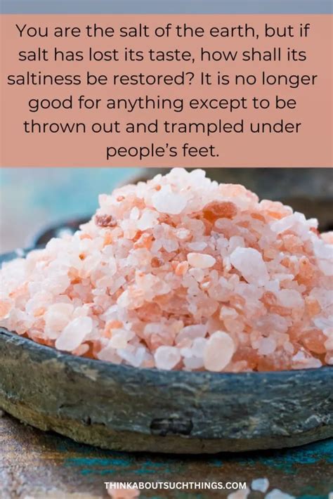 Salt Of The Earth Meaning Bible Great Tips For You 2024