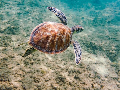 Sandy Springs Ga All You Must Know Before You Go 2026 Tripadvisor