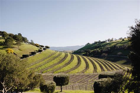 Santa Ynez Wineries That Will Amaze Your Senses Santa Ynez Wineries That Will Amaze Your Senses