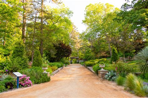 Sarah P Duke Gardens Beauty