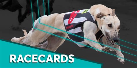 Saturday S Downloadable Sis Racecards And Formlines