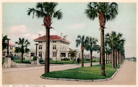 Savannah Georgia Palmetto Avenue Ebay