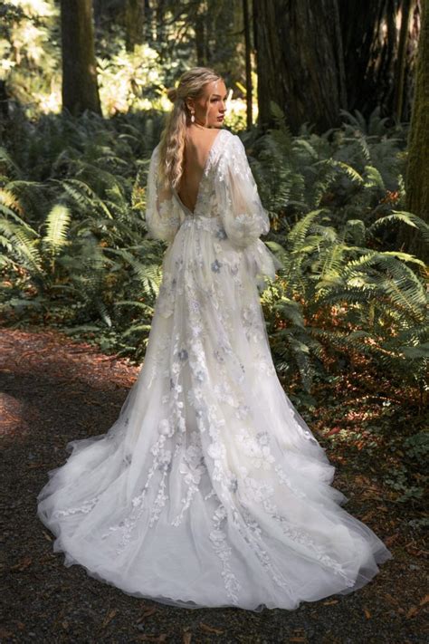 Saylor All Who Wander: Mysterious Lore Unveiled