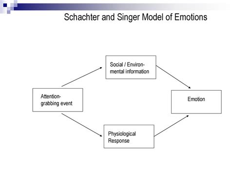 Schachter Singer Theory Of Emotion Presentation