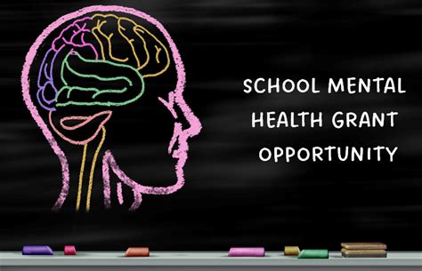 School Based Mental Health Grant 2024