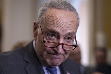 Schumer S Take On Biden In Tapper Book Is Psychotic His Reaction