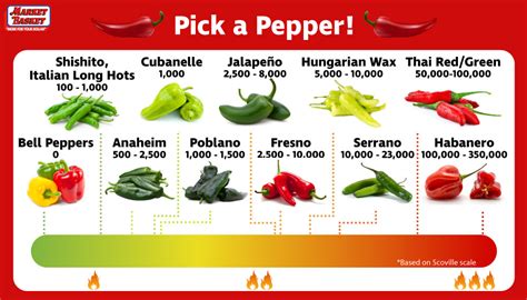 Scoville Scale Serrano: What You Need to Know About Its Heat Level