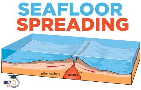 Seafloor Spreading Theory Definition Diagram Evidence Lesson