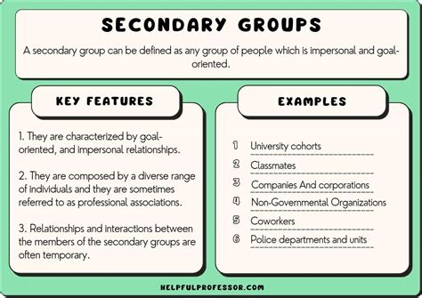 Secondary Groups In Sociology Definition 10 Examples 2025