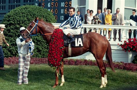 Secretariat Horse Triple Crown Belmont Stakes Horse Racing Britannica Secretariat Horse Triple Crown Belmont Stakes Horse Racing Britannica