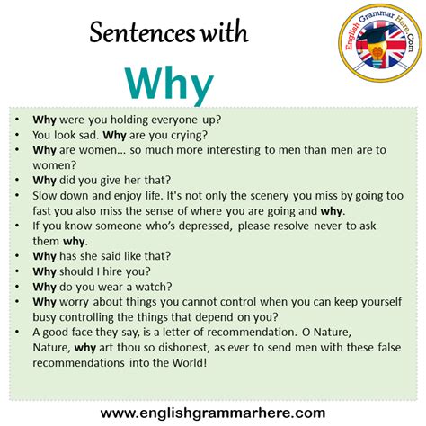 Sentences With Why Why In A Sentence In English Sentences For Why