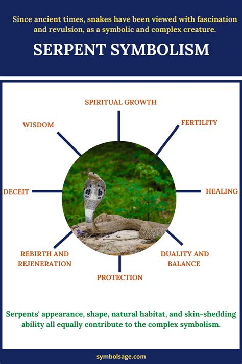Serpent Symbolism And Meaning Symbol Sage