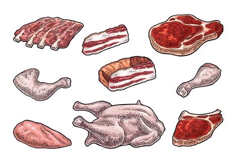 Set Meat Brisket Steak Chicken Leg Ribs Wing Vector Image