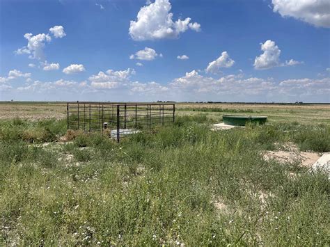Severe Drought Continues In The Texas Panhandle Texas Farm Bureau