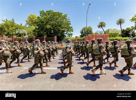 Seville Spain June 01 2019 Paratrooper Brigade During Display Of