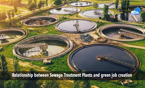 Sewage Treatment Plant Jobs