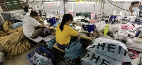 Shein Inicia Fabrica O De Pe As No Brasil A Partir De Julho