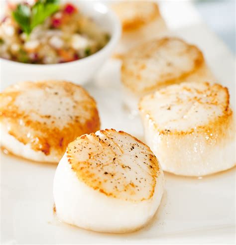 Shellfish Dry Sea Scallops Great Alaska Seafood Shellfish Dry Sea Scallops Great Alaska Seafood