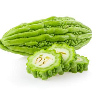 Shop Page 2 Miamitropicalw Com