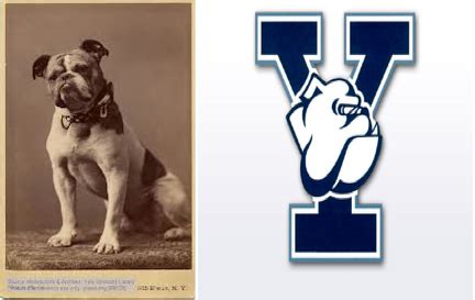 Shop School House Mascot Monday Yale University Amp 39 S Handsome Dan