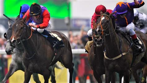 Should Whips Be Banned In Horse Racing Abc Sydney