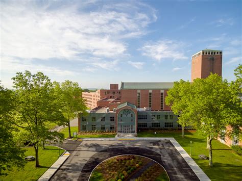 Shrub Oak International School