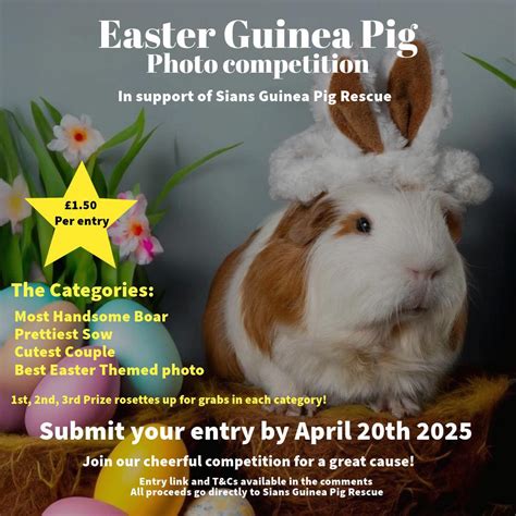 Sians: Exploring the Culture, Stories, and Significance of the Unique Community