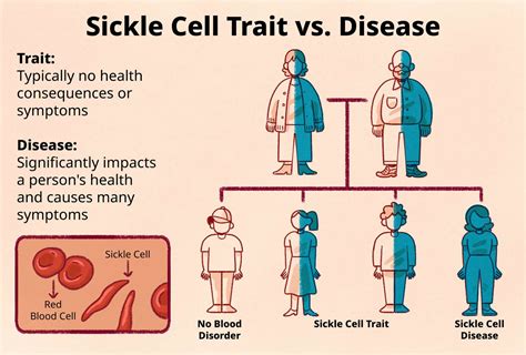 Sickle Cell Trait Sickle Cell 101