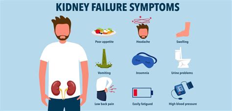 Signs And Symptoms Of Kidney Failure Pptx