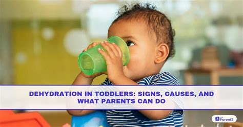 Signs Of Dehydration In Toddlers When To Worry And What To Do