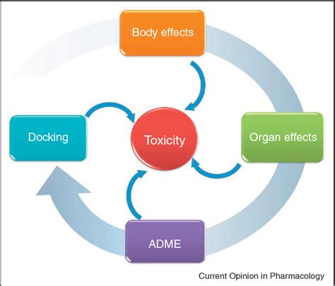 Simple Test May Detect Toxic Drugs Faster Inside Science Simple Test May Detect Toxic Drugs Faster Inside Science