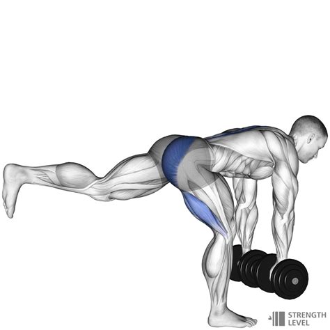 Single Leg Dumbbell Deadlift