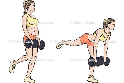 Single One Straight Leg Dumbbell Deadlift Workoutlabs Exercise Guide Single One Straight Leg Dumbbell Deadlift Workoutlabs Exercise Guide