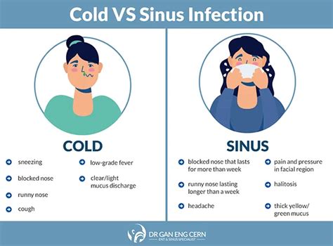 Sinusitis More Than Just Runny Nose Dr Gan Eng Cern Sinusitis More Than Just Runny Nose Dr Gan Eng Cern
