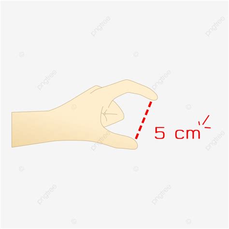 Sizes 5 Cm 5Cm Size Measure Png Transparent Clipart Image And Psd