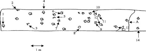 Sketch Map Of The Wistariahurst Museum Slab Numbers Represent Sketch Map Of The Wistariahurst Museum Slab Numbers Represent