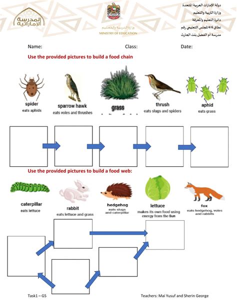 Skills Worksheet Food Chains And Food Webs Skillsworksheets Com