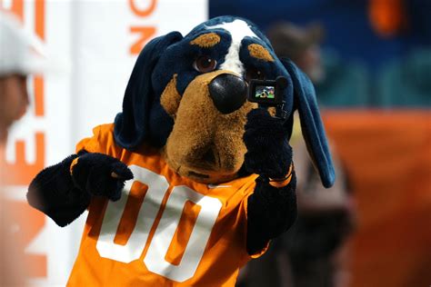 Smokey X Tennessee Volunteers Football Tennessee Mascot Tennessee