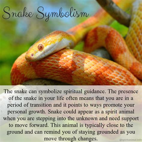 Snake Symbolic Meaning And Snake Totem On Whats Your Sign Snake Symbolic Meaning And Snake Totem On Whats Your Sign